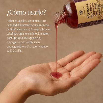 Shampoo Crecimiento Anti-quiebre Maqui + Vitamina C + Biotina + Panthenol