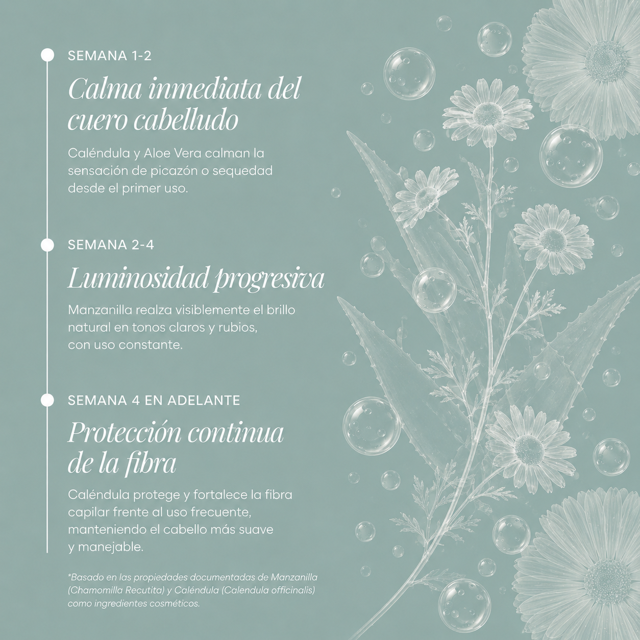 Shampoo Suave Manzanilla &amp; Caléndula
