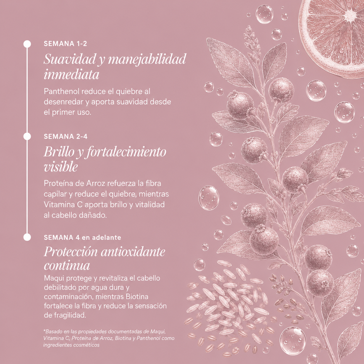 Bálsamo Crecimiento Anti-Quiebre Maqui + Vitamina C + Biotina + Panthenol