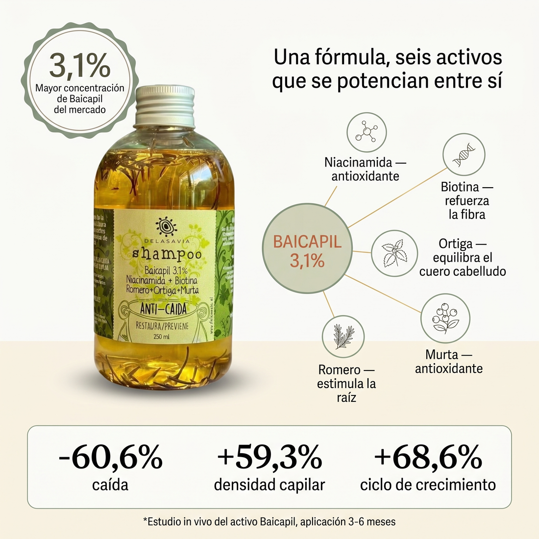 TRATAMIENTO ANTI-CAÍDA 2: 2 shampoo Romero Baicapil + Peine activador