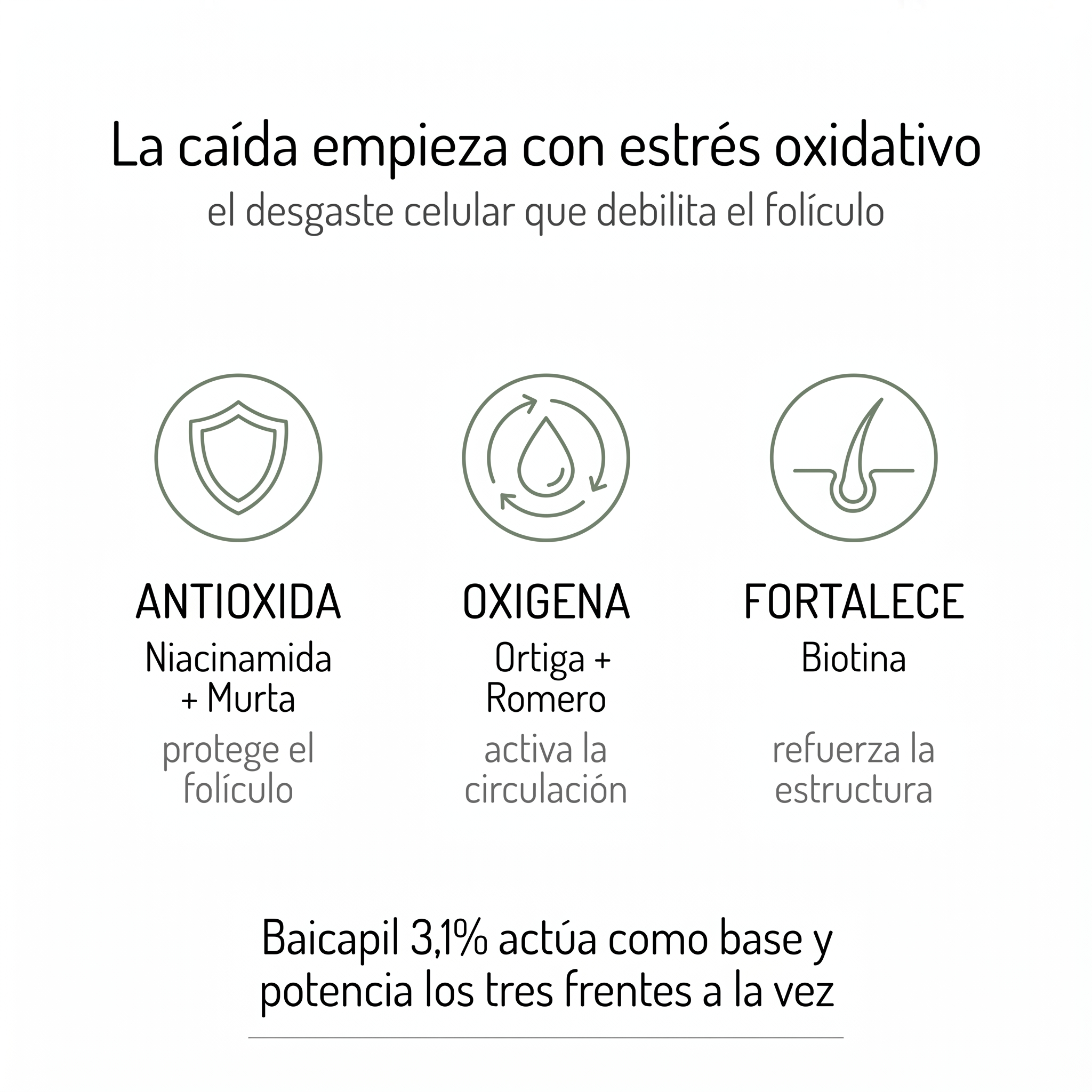 Shampoo Anti Caída Baicapil 3,1%+ Romero (Crecimiento y Fortalecimiento Capilar)